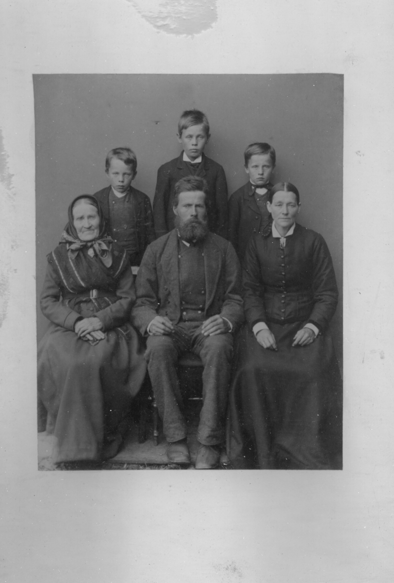 Familiebruppe frå Hande 48/2 Vestre Slidre, før 1890.
