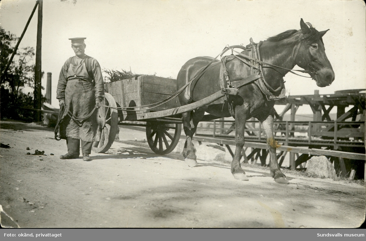 Vykort med motiv av en stående man med häst och vagn. Enligt texten på baksidan: Johan Lundkvist Svartvik 4/6 1921.