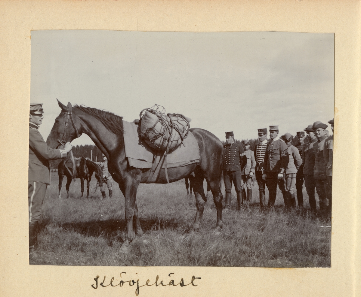 Elever vid Kavalleriskolan i Umeå med klövjehäst.