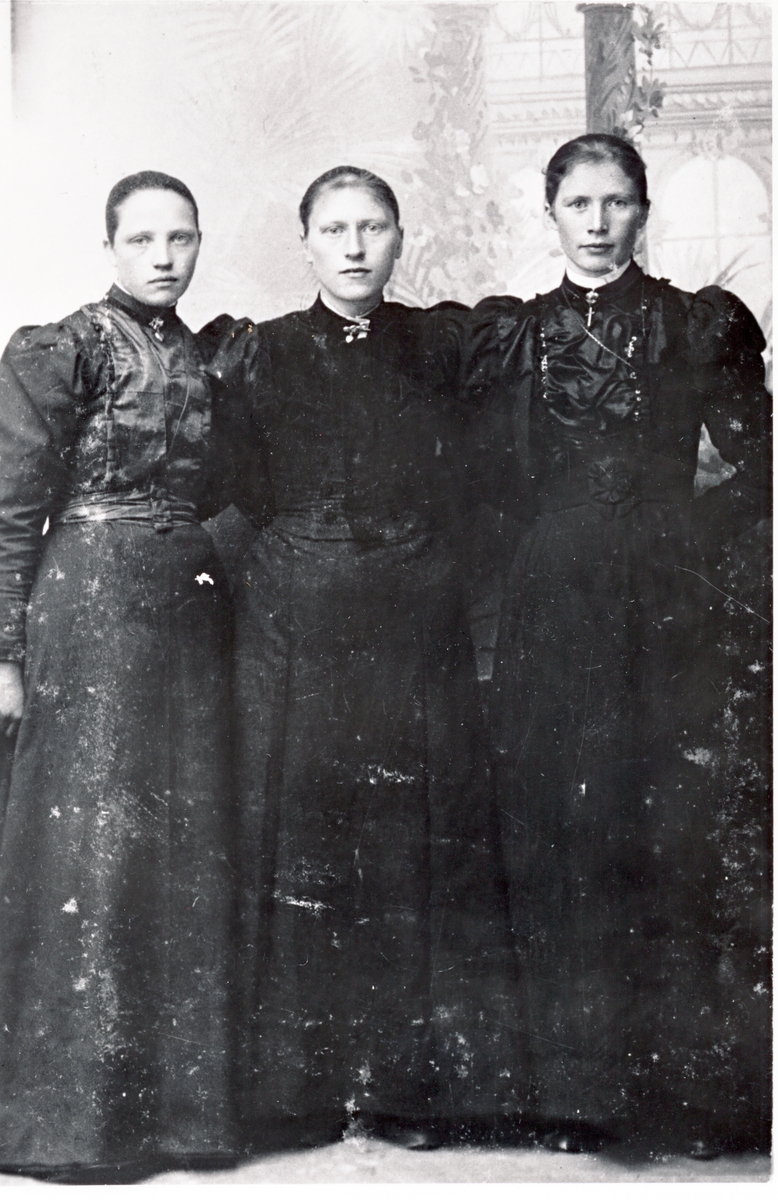 Jensine Jensen, Karoline Olsen og Hansine Larsen, fra Søndre Torsken, før 1900.