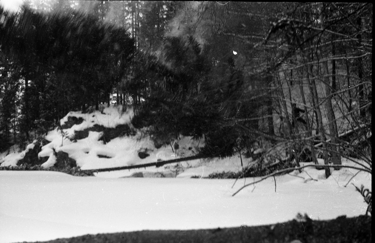 Avfotografert bilde fra trefelling på vinterføre.