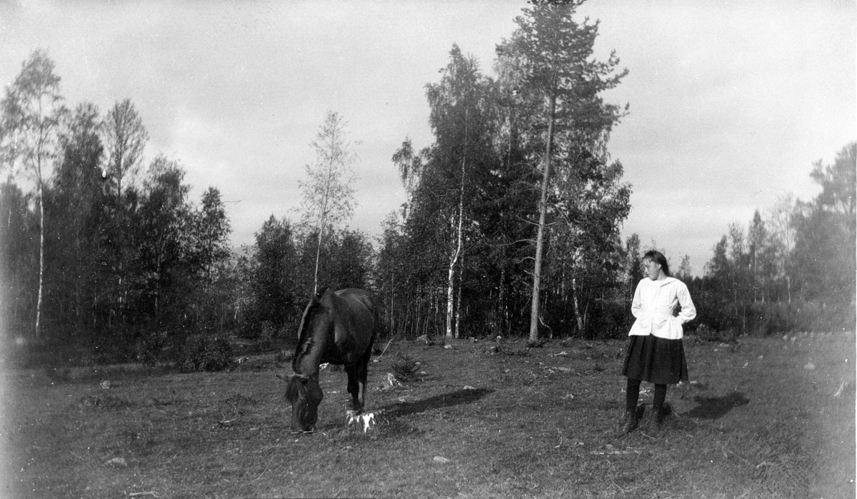 Beitende hest og en yngre jente