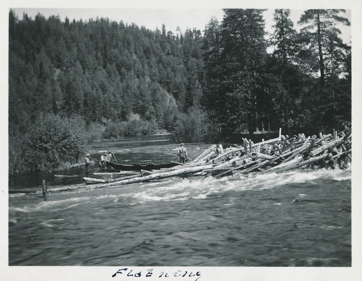 Fire tømmerfløtere står i elv og forsøker løse opp tømmerfloke. De har også med seg en robåt. Skogskledd åsside i bakgrunnen av bildet.