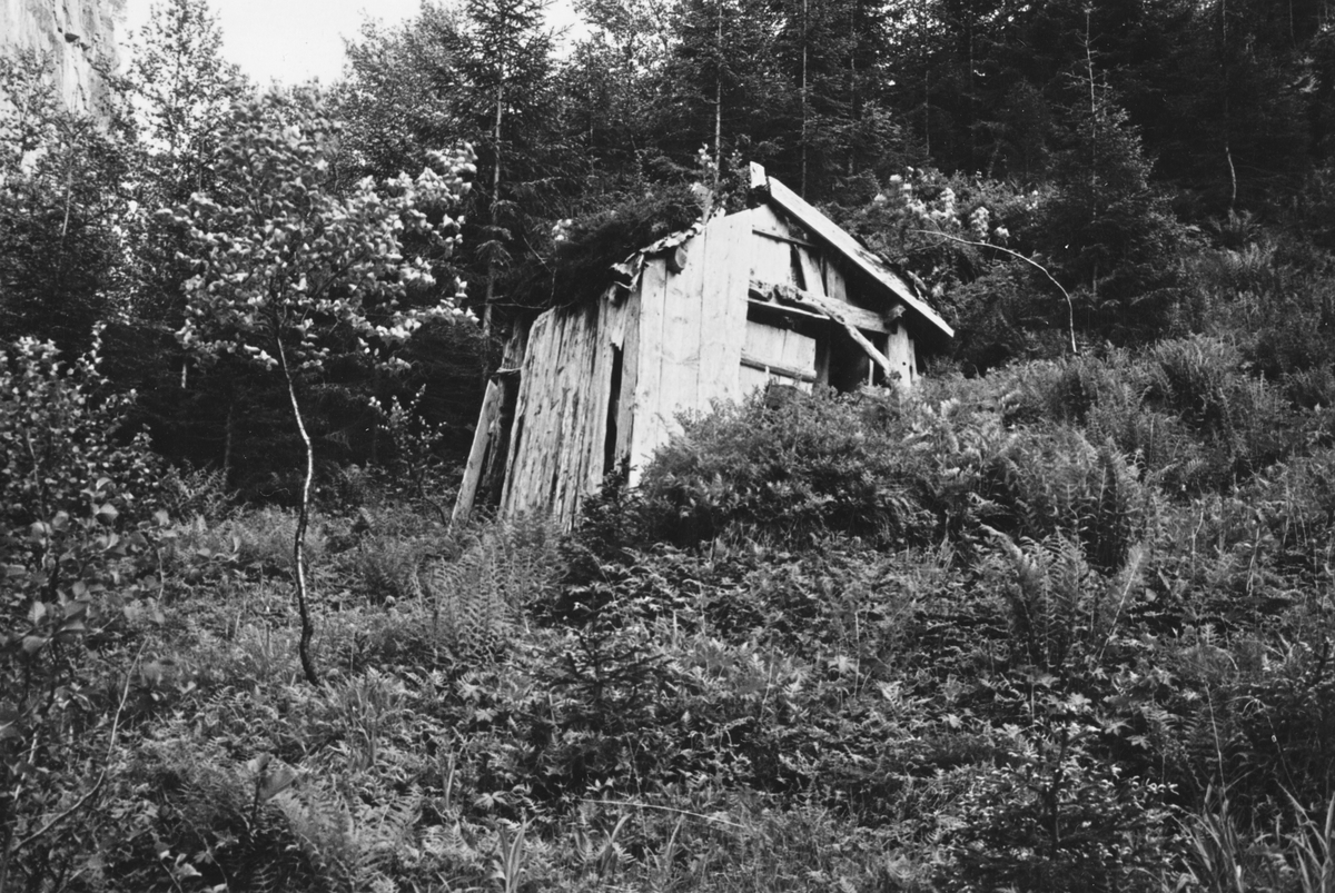 Dokumentasjonsbilder i serie av ei gammel postbu i Stigedalen, på grensen mellom Sogn og Fjordane og Møre og Romsdal. Denne bua brukte postmenn som hytte.