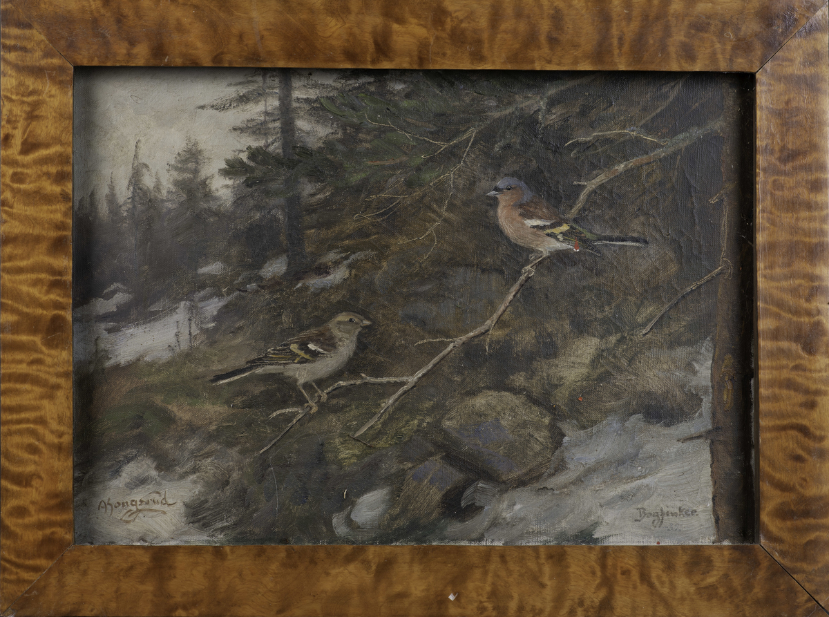 To bokfinker i et vinterlig skoglandskap.