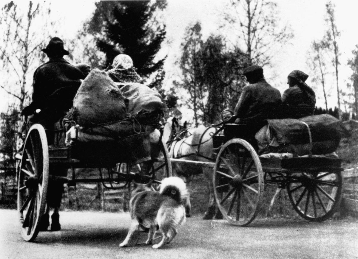 Travelers with horse and buggy.