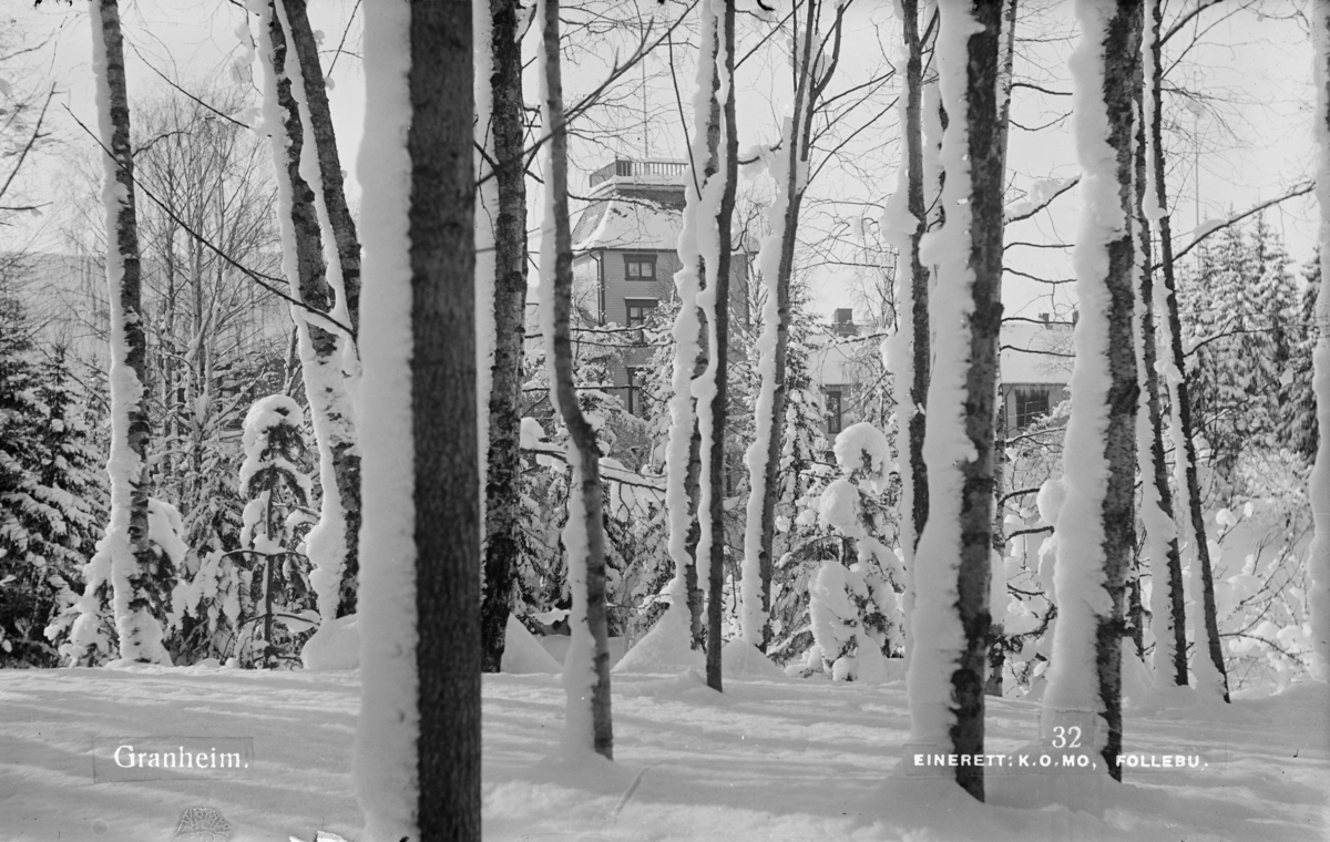 Prospektkort: Østre Gausdal, Follebu. Vinterstemning med Granheim sanatorium gjennom snødekte trær.