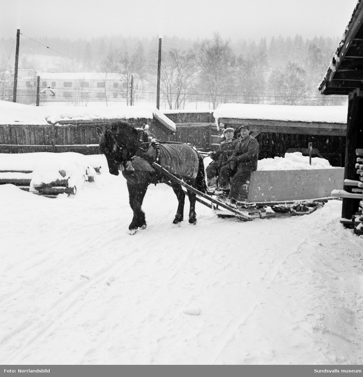 Snöröjning med häst vid gatukontorets förråd vid Norra kajen, Heffnersvägen.