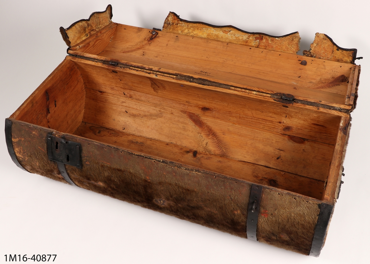 Koffert av trä med välvt lock, inklädd i sälskinn, saknar klädsel inuti. Ett handtag på vardera kortsida. Ett lås.