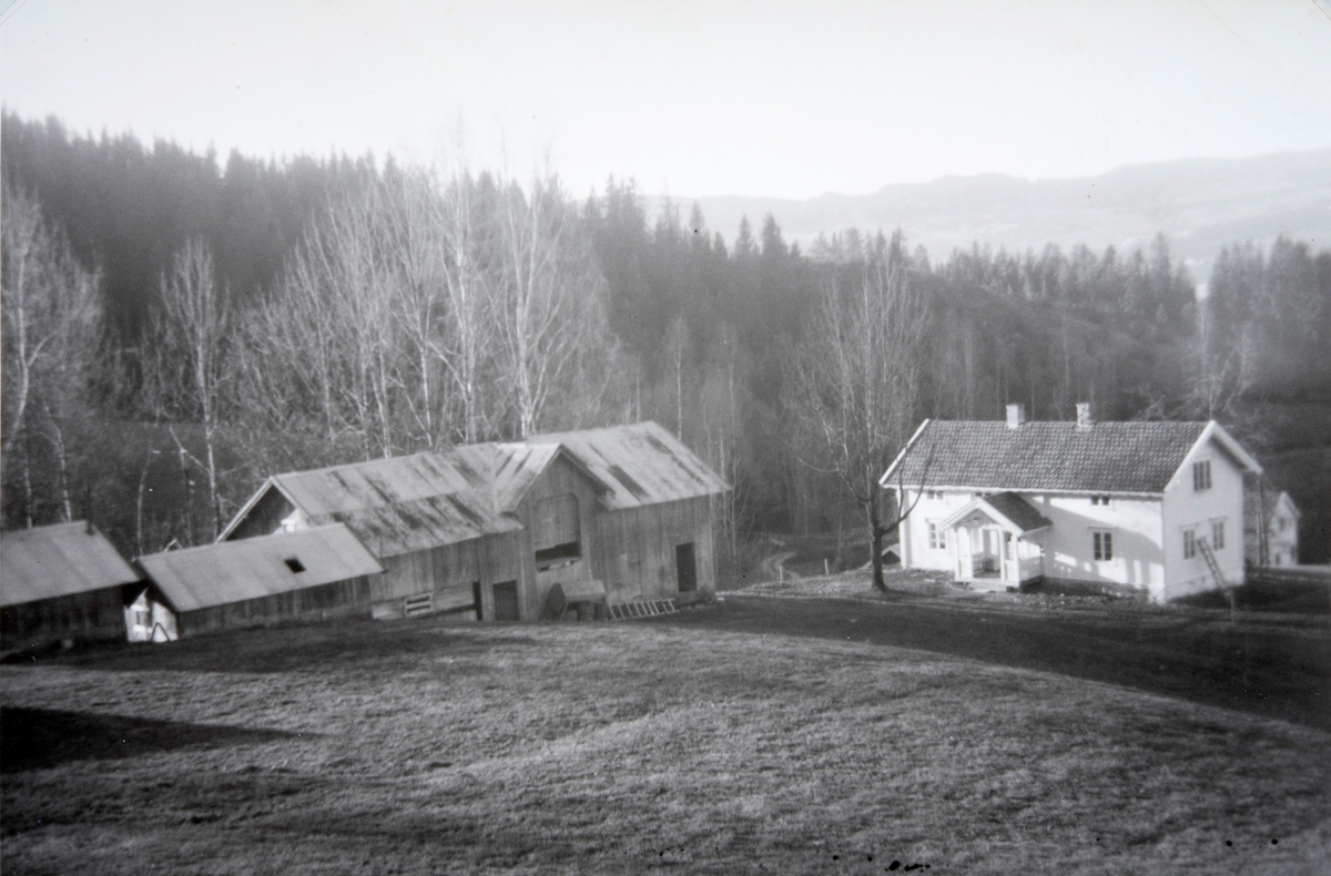Tongbakken gård, Strandlykkja.