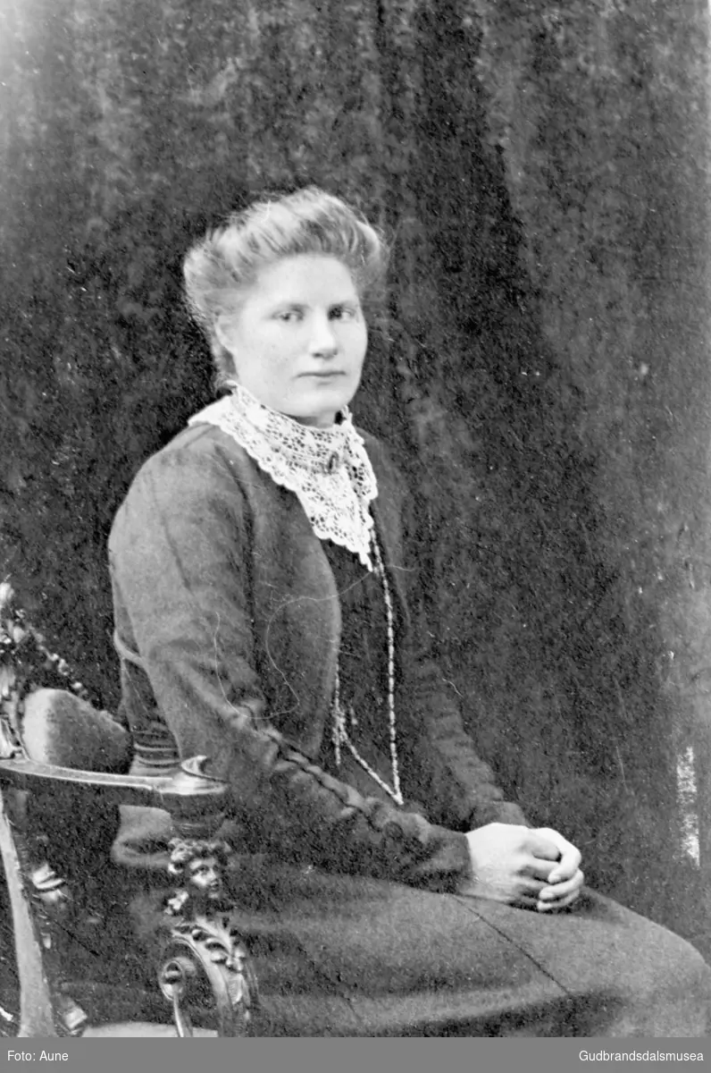 Portrett, kvinne, bilde av Lovise S. Enebo, til New York i 1897.