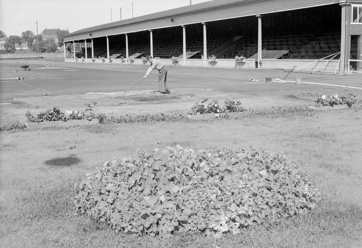 Forberedelser på Stadion til NM i Friidrett 14. 15. og 16. august 1953