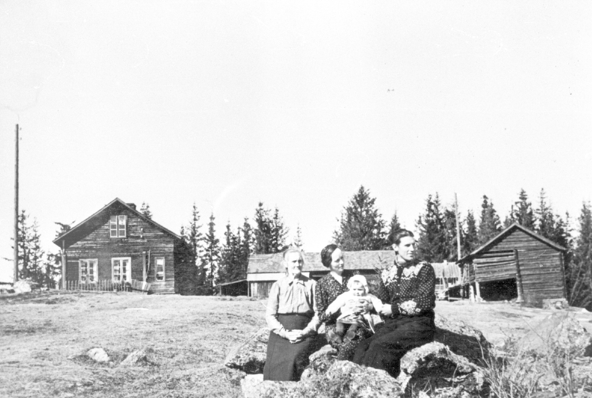 Dei gamle husa i Haugrud.