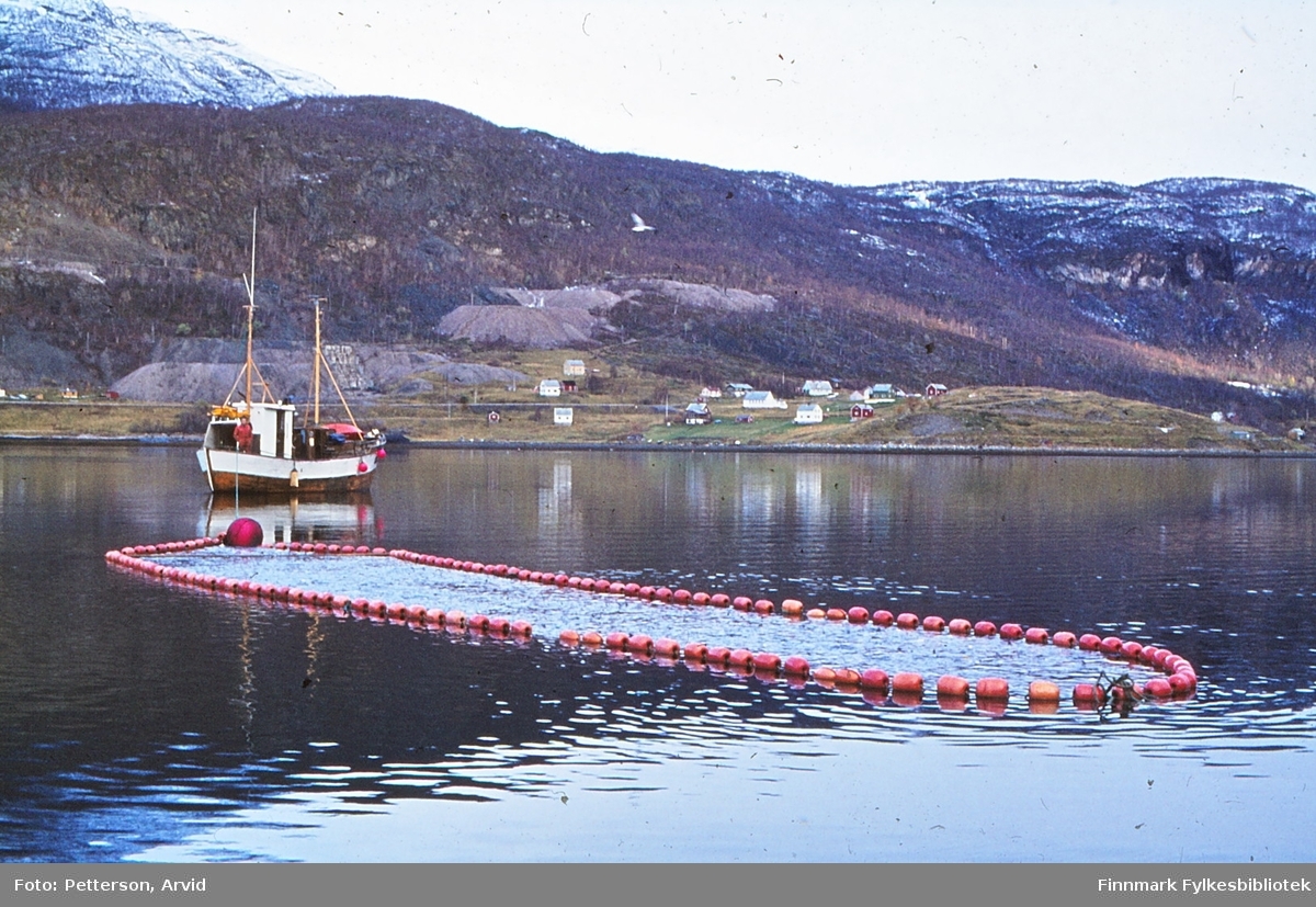 Sildesteng i Kåfjord, i 1981.
