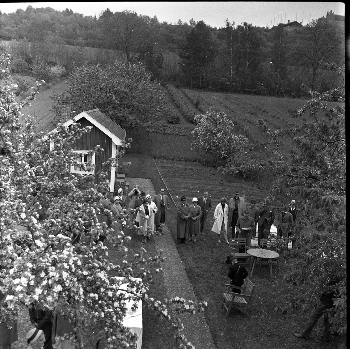 Fotografi från en höjd ned mot en stuga och en trädgård med blommande fruktträd. Närmast ett runt bord med ett papper i handen står Olof Fong.