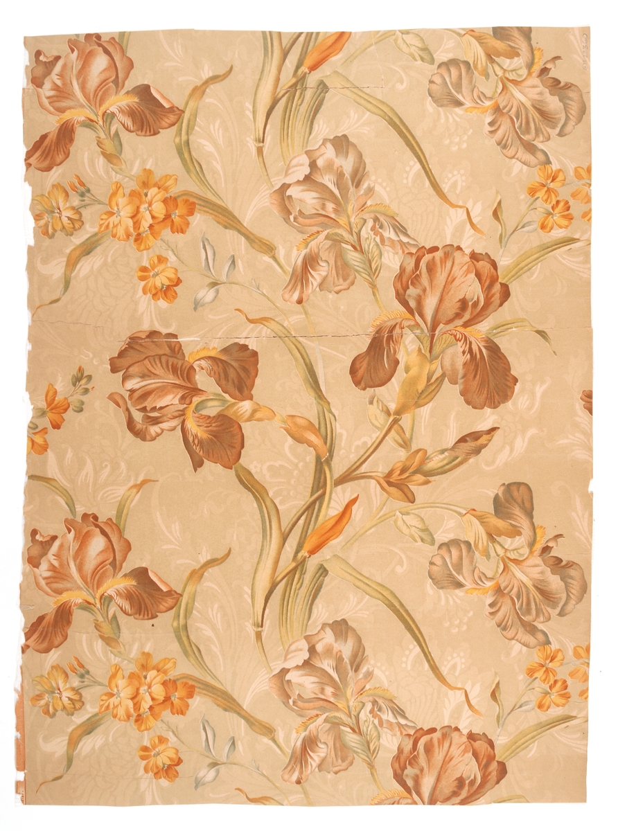 Engelsk tvättbar tapet i djuptryck, s.k. "sanitary wallpaper" med storskaligt mönster av iris i nyanser av grönt, rödbrunt, orangegult och blått. Fyra tryckfärger på obestruken botten. IB
