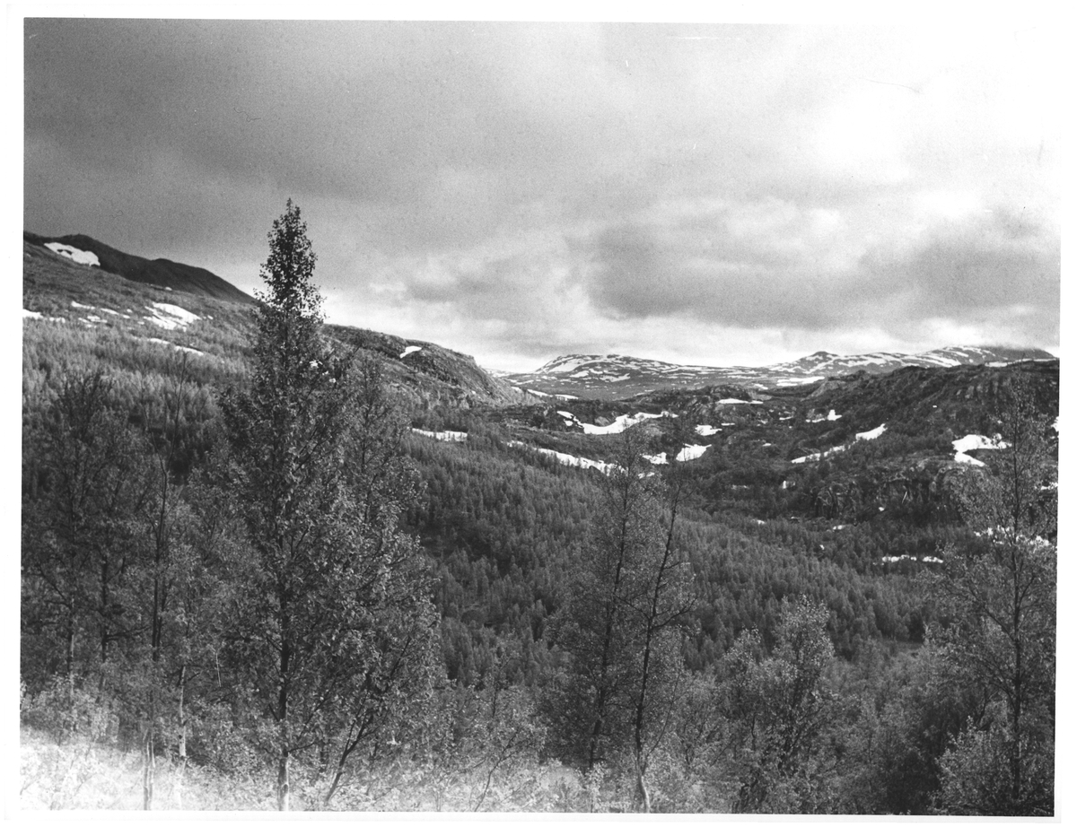 Over fjell og dal fra Misvær til Saltdalen