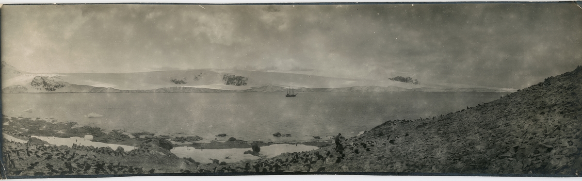Antarktiska undsättningsexpeditionens fartyg FRITHJOF i Hoppets vik 5 december 1903. Panoramavy.