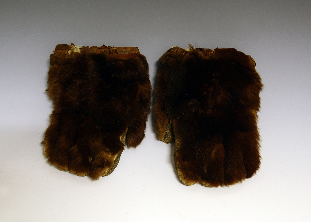 Pelsvanter. Et par vanter med brun pels. Framsiden og øverste del av baksiden er av pels. Innvendig er vantene fôret med saueskinn.