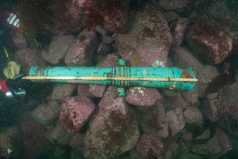 Kanon med tilnærmet turkis farge, stedvis begrodd med rødbrune flekker, ligger på en steinur under vann. Steinene har rødlig farge. Hendene til en dykker holder en tommestokk og måler kanonen. (Foto/Photo)