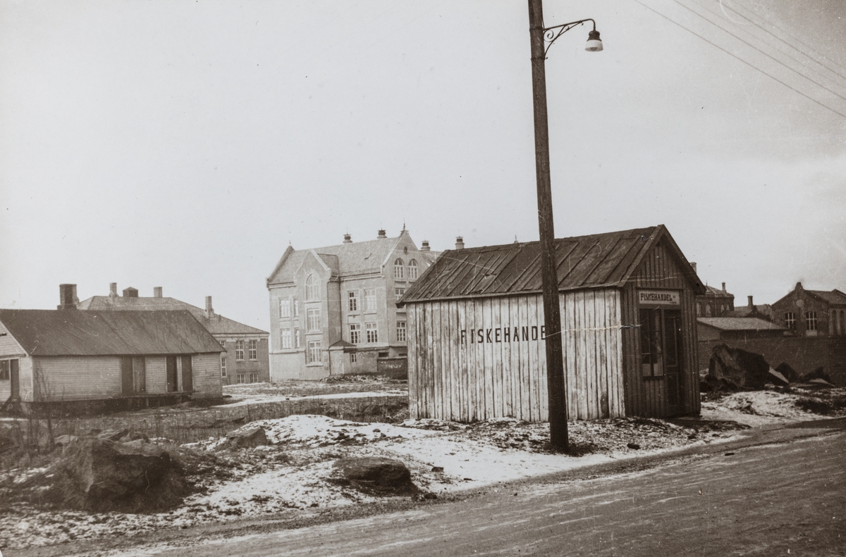 Parti fra Sørhaug sett mot nordvest, ca. 1930.