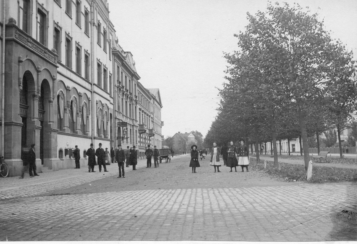 Halmstad, Viktoriagatan. Kv Guldfisken. Omkring 1910. Närmast till vänster Riksbankshuset, uppfört 1900 efter ritningar av Martin Borgstedt.