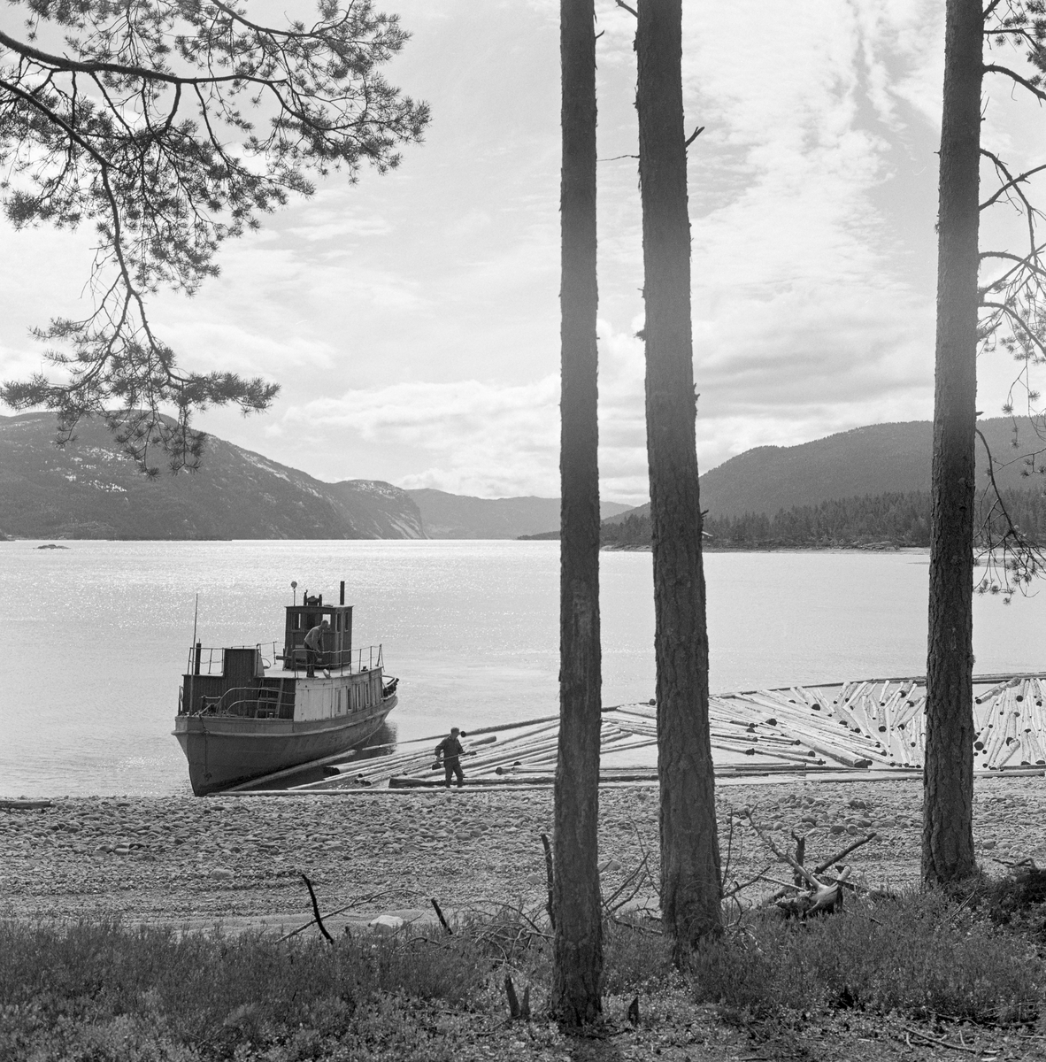 Slepebåt og tømmer på innsjø. Tømmersleping med slepebåten M/S Teisner på Fyresvatnet, Fyresdal, Telemark. Skipper Gunnar Sandvik . Båten ble bygd på Akers mekaniske verksted, og var opprinnelig en kombinert passasjer- og slepebåt fra 1876, Den fikk navnet M/S Teisner i 1913. Etterhvert ble det en ren slepebåt. Etter at tømmertransporten forsvant i 1971, ble båten tatt vare på av "Reiarlaget Teisners vener", men i 1990 ble båten dratt på land. Fyresvatn.