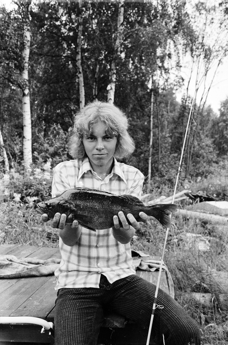 Jätteabborre på spinn, Rosslarna, Söderfors, Uppland, juli 1972