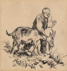 "Mæ-æ-æ!" sa geita [Illustrasjon]