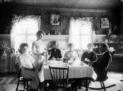 A. Stokkelands spisestue og interiør. 06.06.1909. Gruppebild