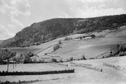 Bjørgevolden, Bjørgegårdene, bildet speilvendt ?