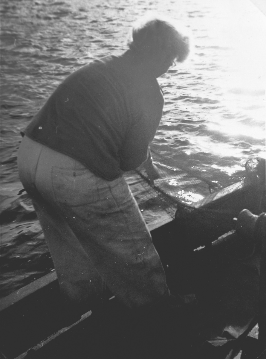 Fisker ombord på båt drar inn fiskegarn.