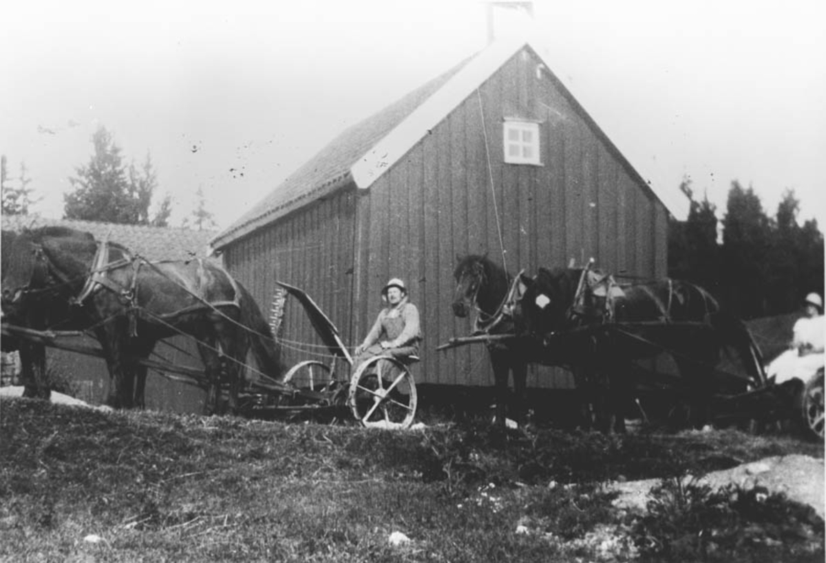 Johan og Olga Ambjørnrud kommer hjem med hester og slåmaskiner.