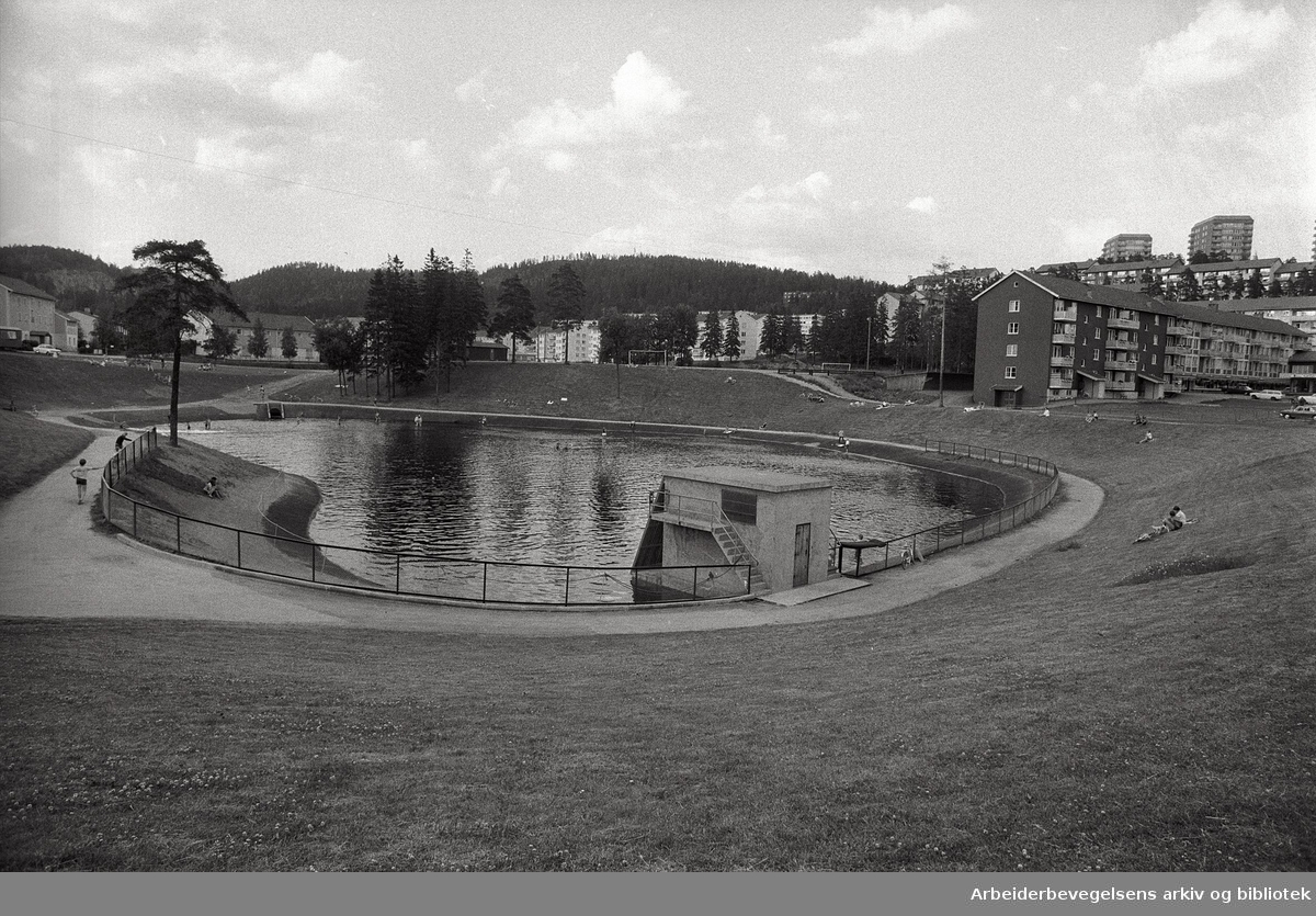 Årvoll-dammen,.juli 1971