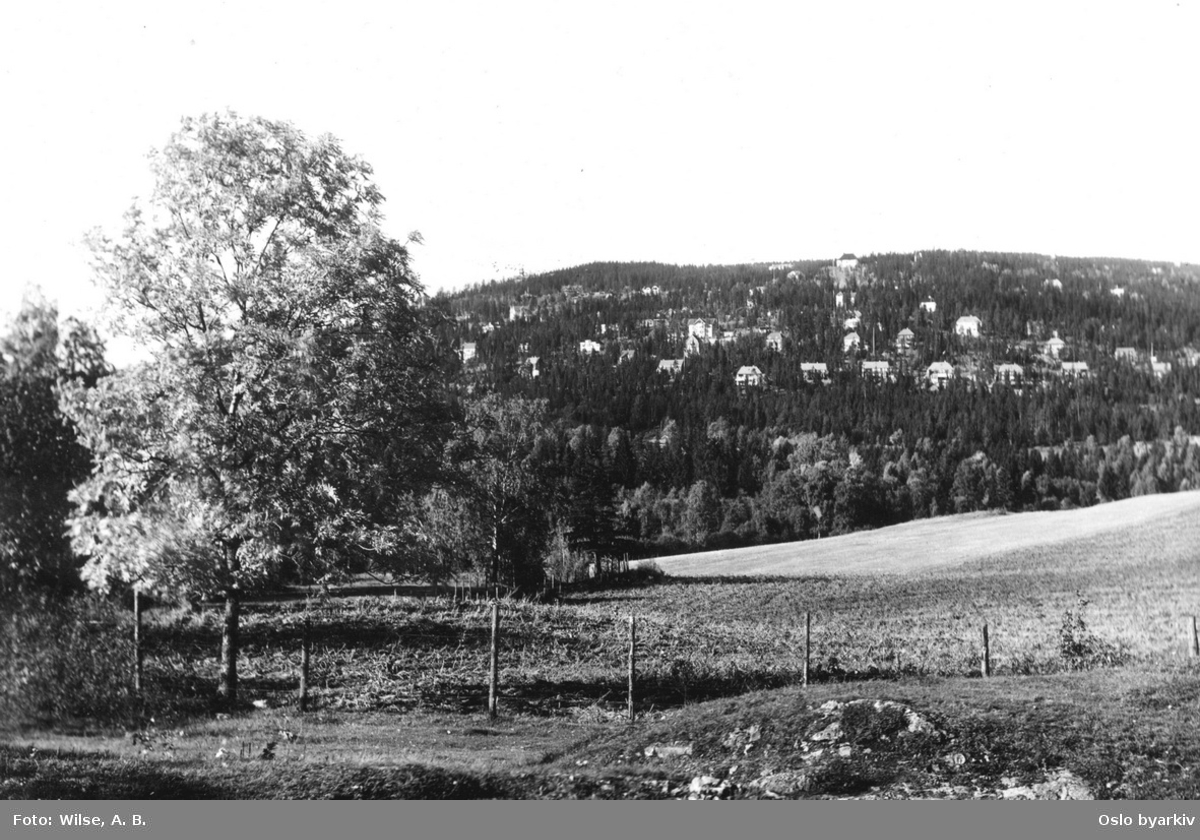 Aker, dyrket mark, villabebyggelse i Holmenkollåsen i bakgrunnen