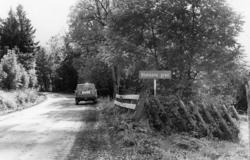 Blakkens grav på Nesset prestegård..Denne ble fjernet under 