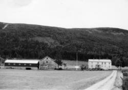 Nr 66 Myrset østre. John Myrset. .(Bilder brukt i "Gards- og