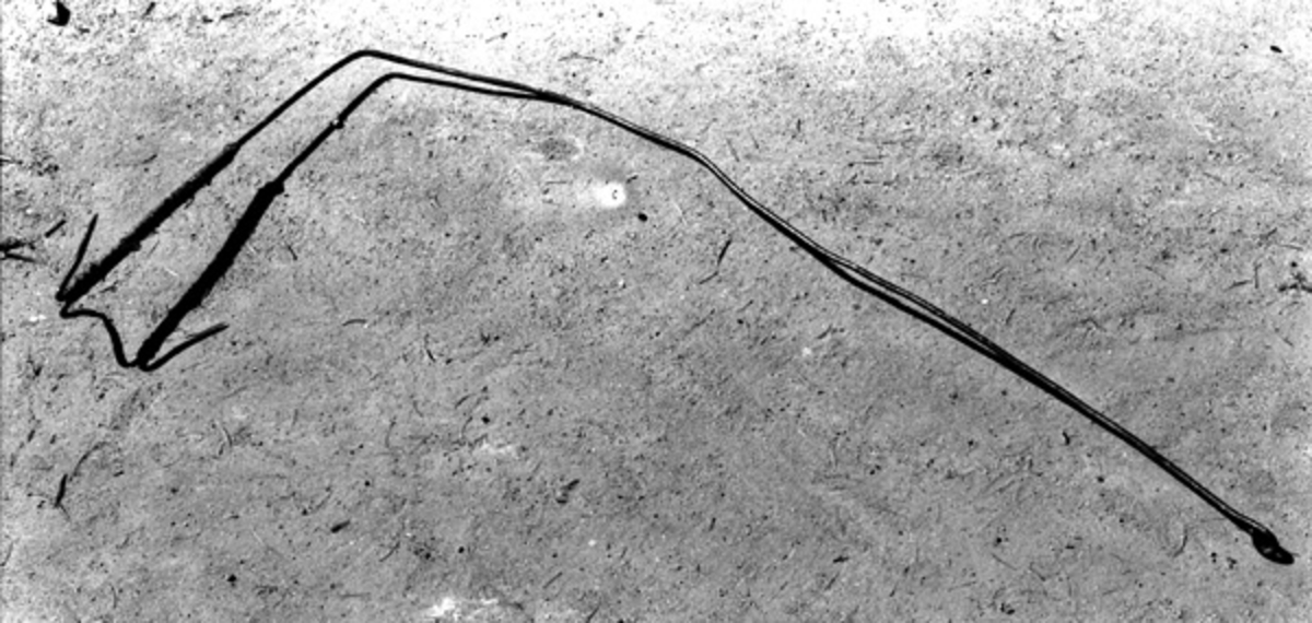 Gjeddekroken består av en ståltråd som øverst er bøyd i en ring som brukes som snarefeste. De ytterste 20 cm av ståltråden er bøyd oppover, og ytterst sitter en dobbeltkrok uten mothaker. Den ene kroken er en forlengelse av ståltråden, mens den andre er laget av en annen ståltråd som er snurret fast med tråd. 
Kroken hører til utstyret i koia fra Kvamstranddammen som står på Prestøya. 
