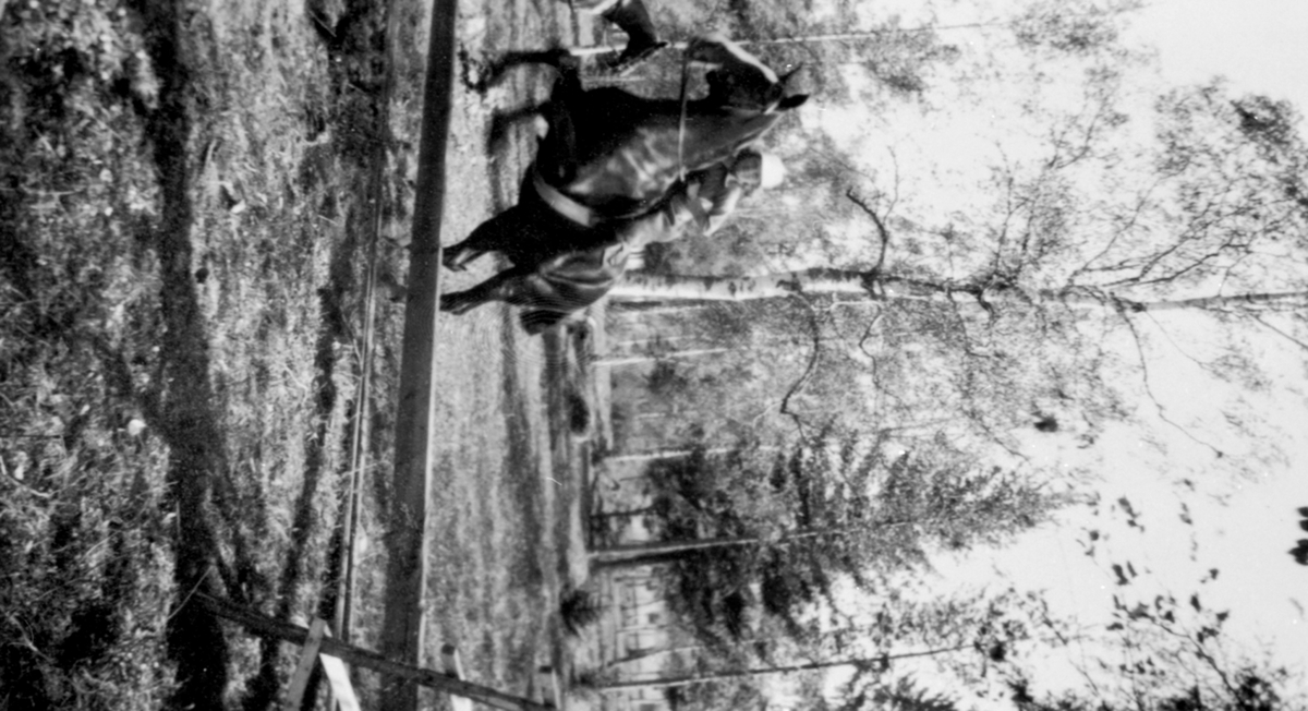 Margrethe Lousie (Babs) Kildal Borchrevink f.1911 til hest på hinderbanen på Hoel gård, Nes, Hedmark.