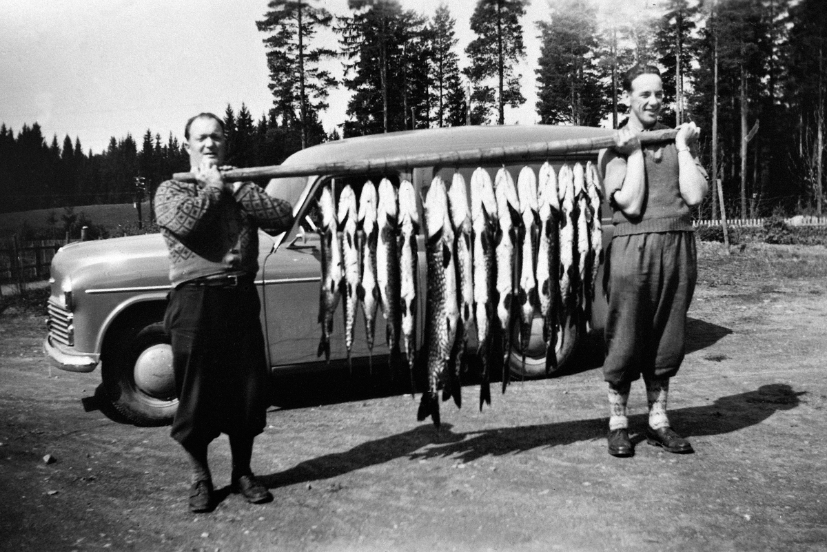Kåre Sjøli og Polmar Åsrønningen med gjeddefangst etter fiske i Åkersvika, Mjøsa, mjøsfiske, ca.1955.