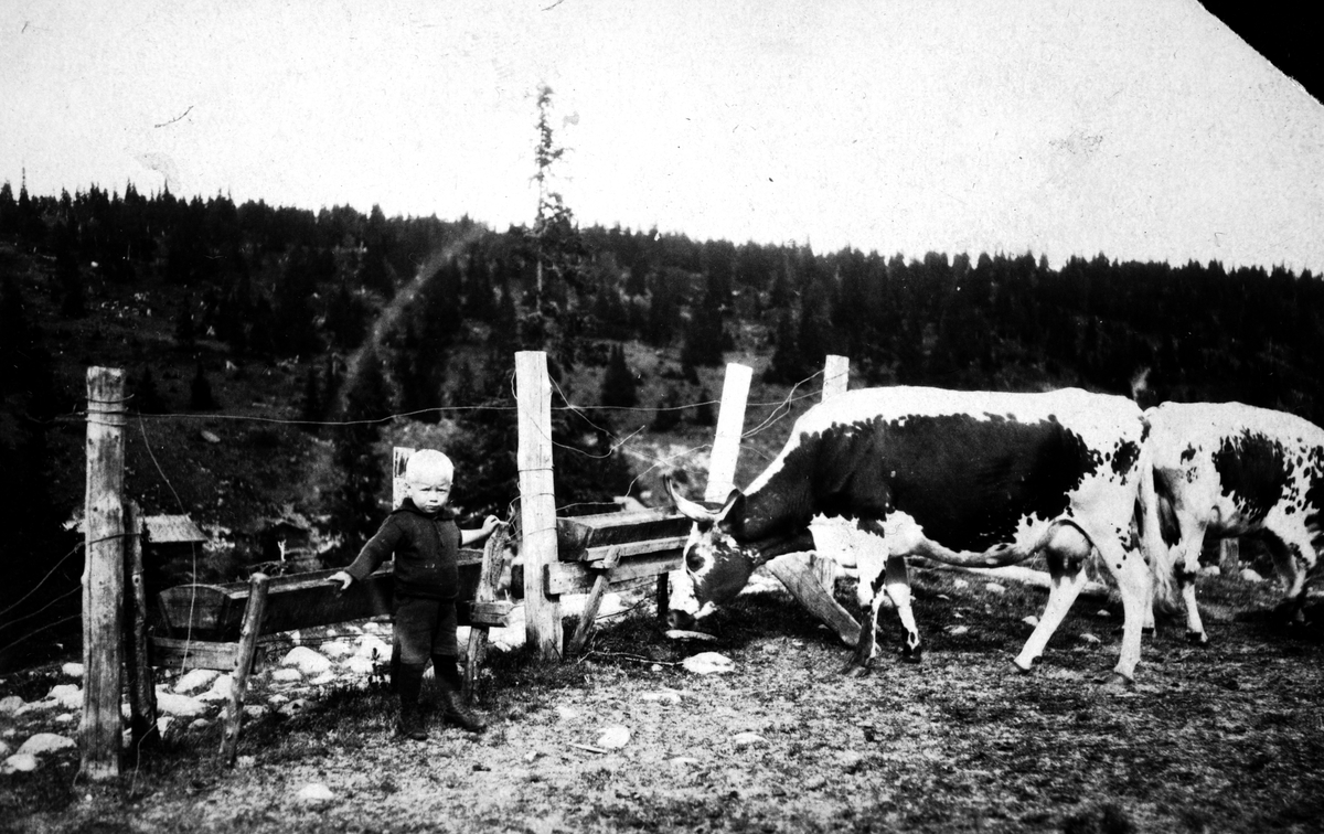 Olaf "laffen" Nyhus på Nordvisetra i Hommeldalen i Åmot 1922. Han var på setra sammen med sine foreldre, Kristian og Mathea Nyhus, som hadde ansvaret for seterdrifta, 
