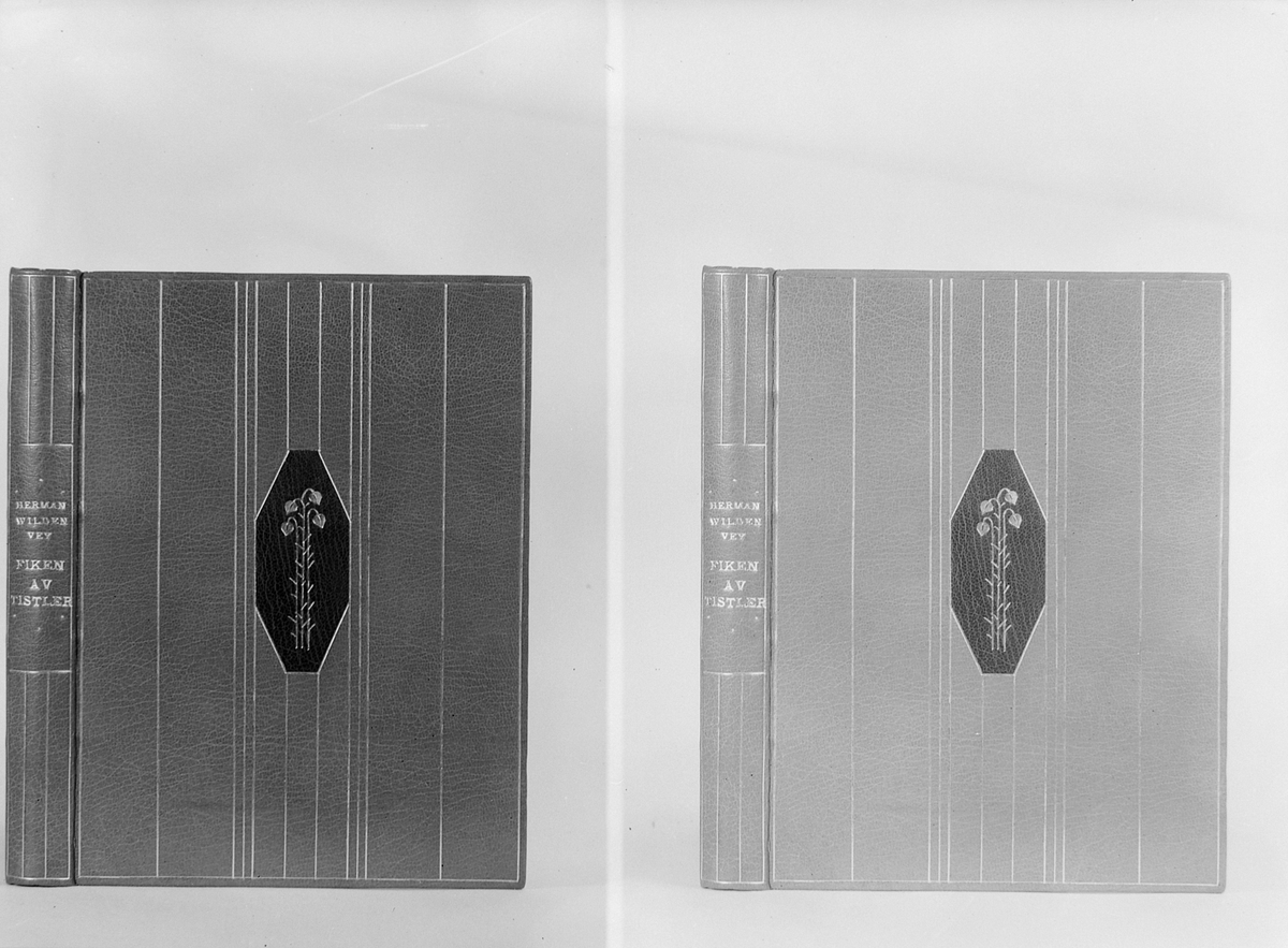 Bøker fotografert for bokbinder J.F. Paasche