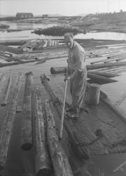 Follafoss Tresliperi