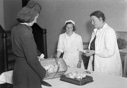 Husstellstasjonen, soppkontroll