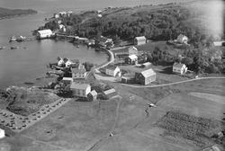 Børøysundet, Hestvika med kaianlegg og bebyggelse.