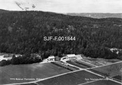 "77712  Reiersøl Planteskole, Blakstad."