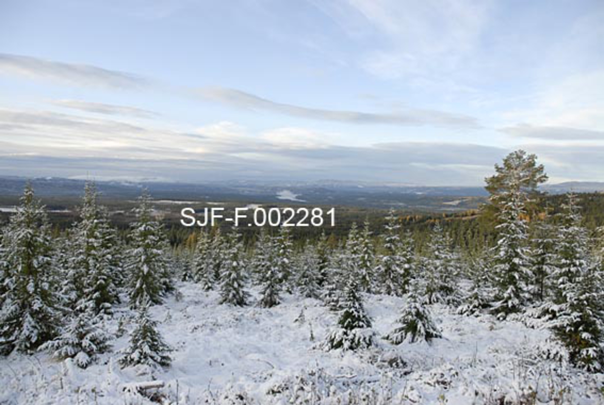 Landskapsbilde fra Tørråsen i Regionfelt Østlandet i Åmot kommune, Hedmark. Snødekt mark med granskog i forgrunnen med Løpsjøen i Renavassdraget i bakgrunnen. 
