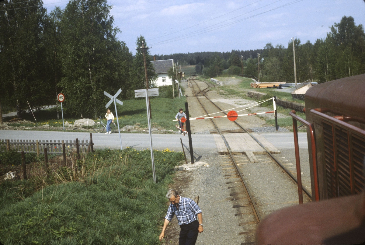 Godstog på Skreiabanen, utsikt fra lokomotivet