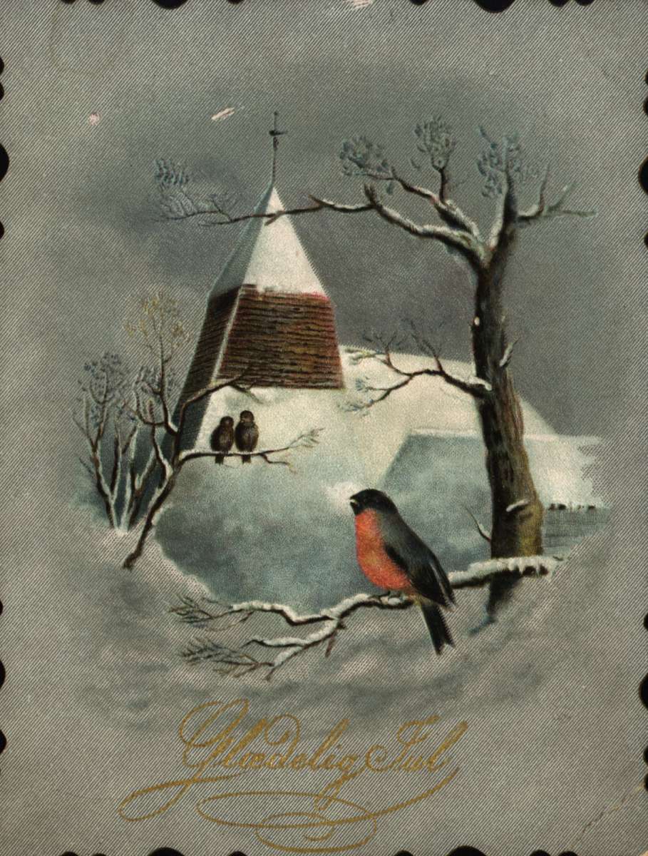 Julekort. Julehilsen. Vintermotiv. Nedsnødd kirke. Trær og fugler. En dompap i forgrunnen. Datert 24.12.1889.
