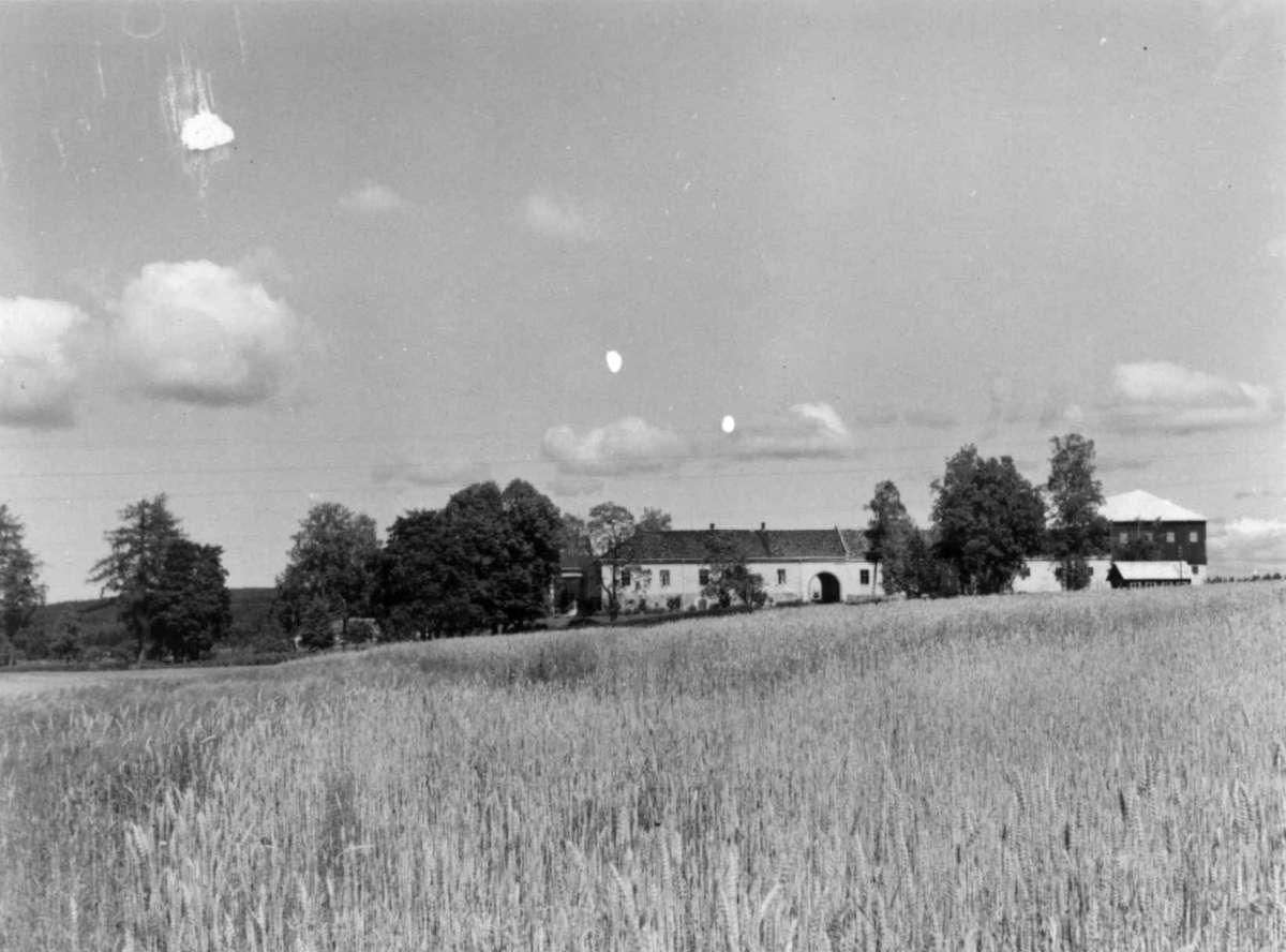 Skinnarbøl, Kongsvinger, Hedmark. Bygningene sett fra kornåker. 
Fra dr. Eivind S. Engelstads storgårdsundersøkelser 1957.